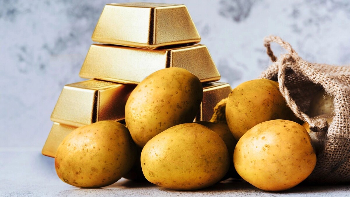     Источник: freepik.com