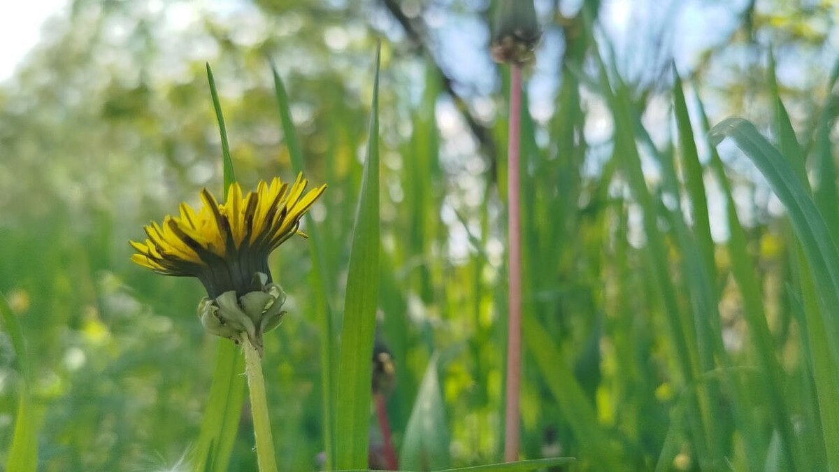    Фото: телеканал «Краснодар»