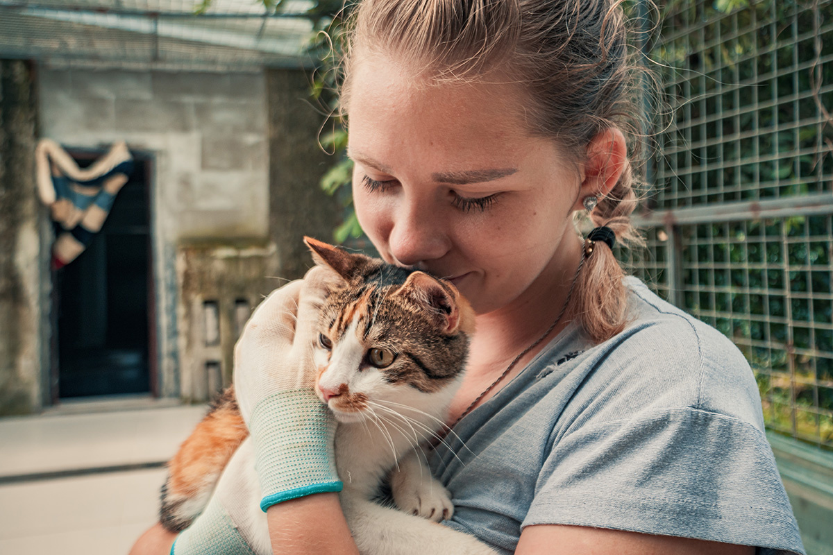    Помощь приютским животным — добрый поступок, который по силам каждому. Источник: Shutterstock