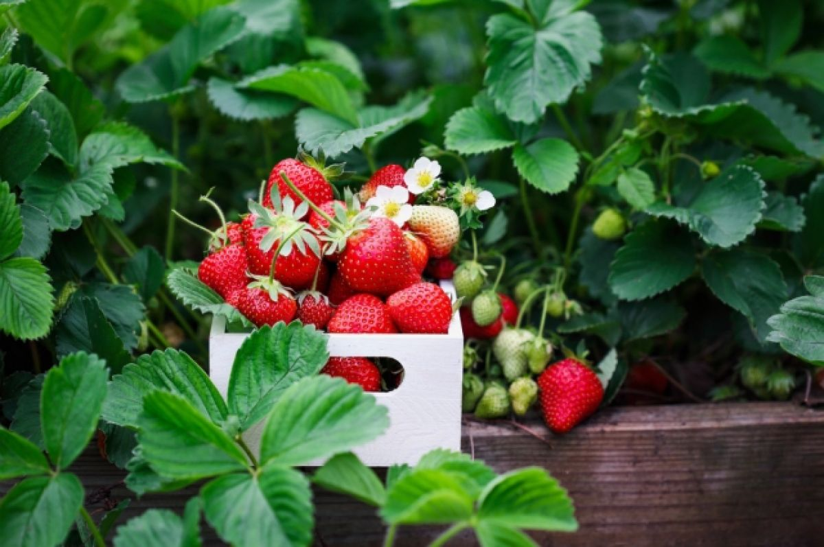 Фото из интернета