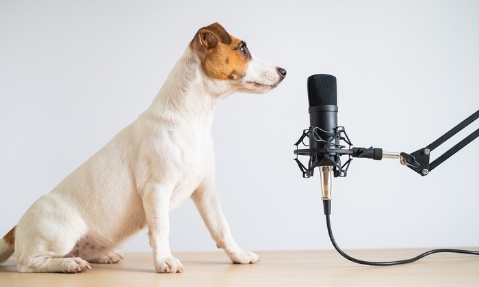    Со звериного на человеческий