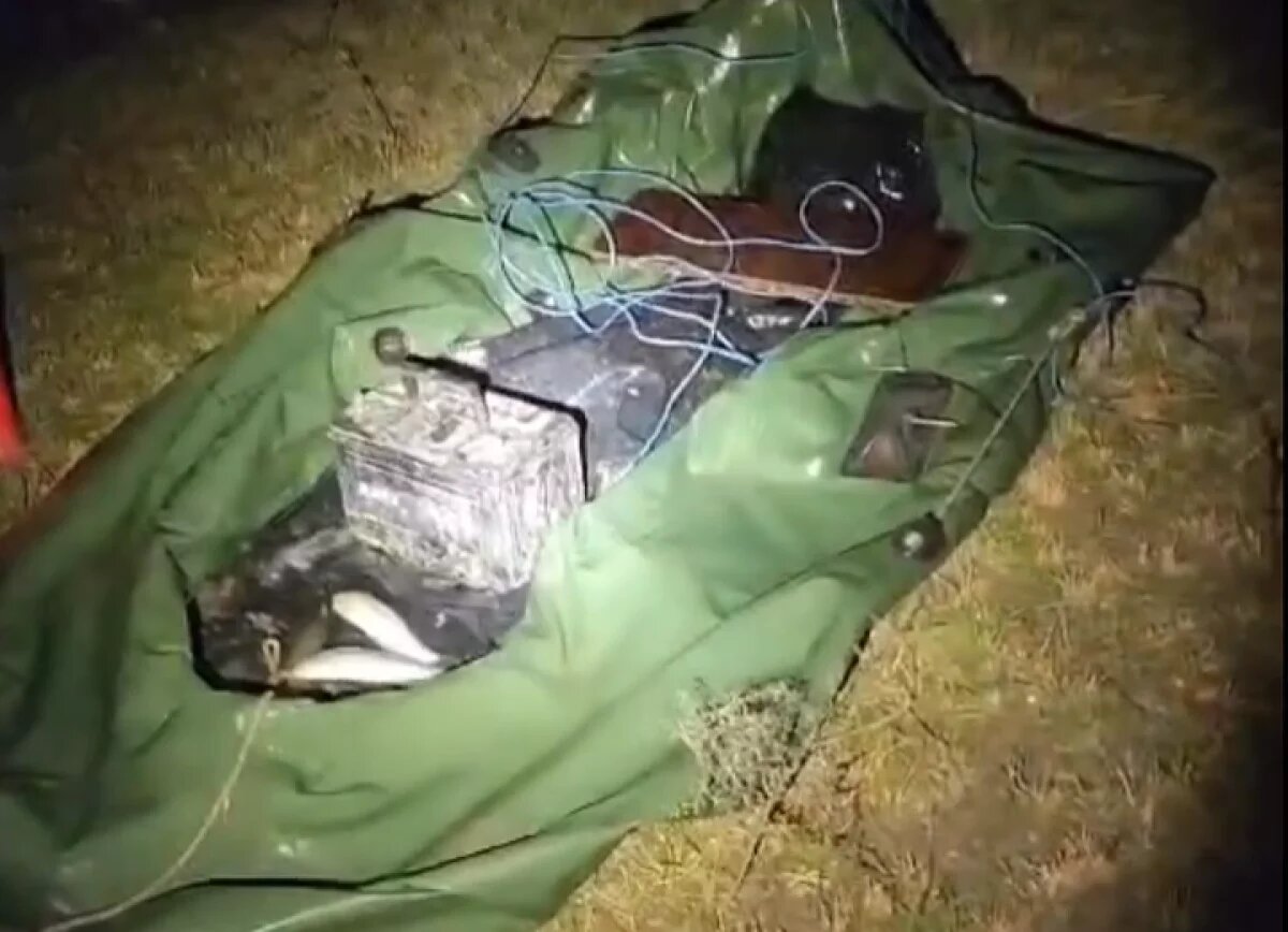    В Самаре пройдет акция «Живая Волга» по борьбе с браконьерством