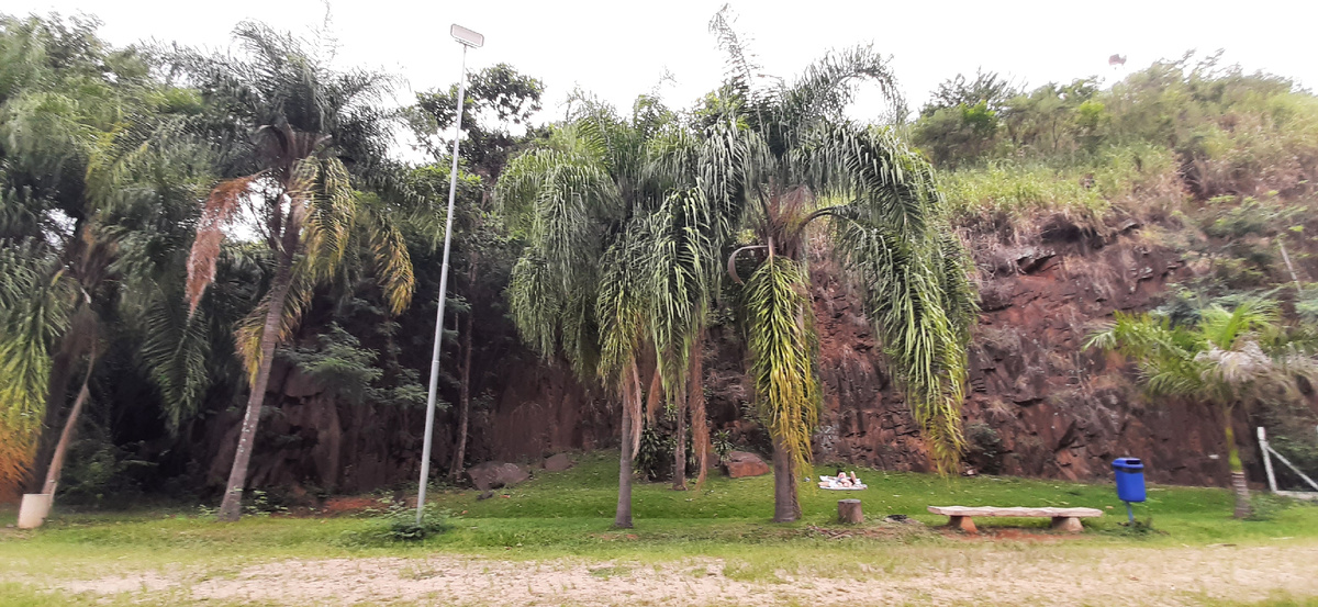 Кампинас, штат Сан-Паулу