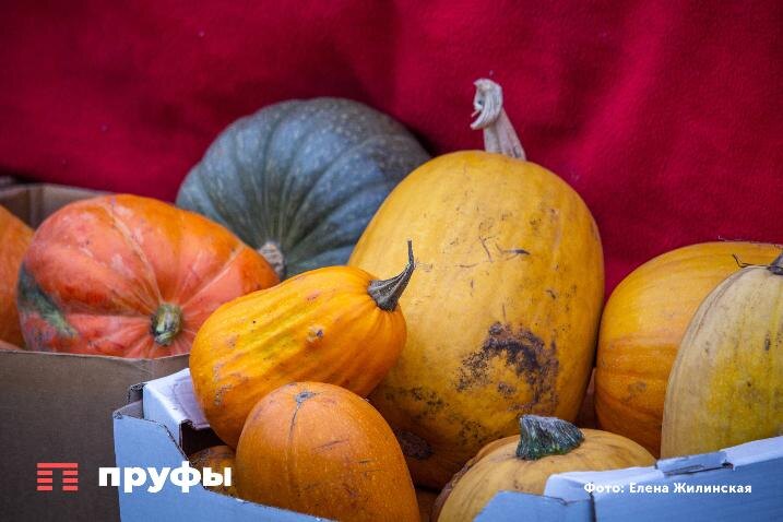    Фото: Пруфы.рф