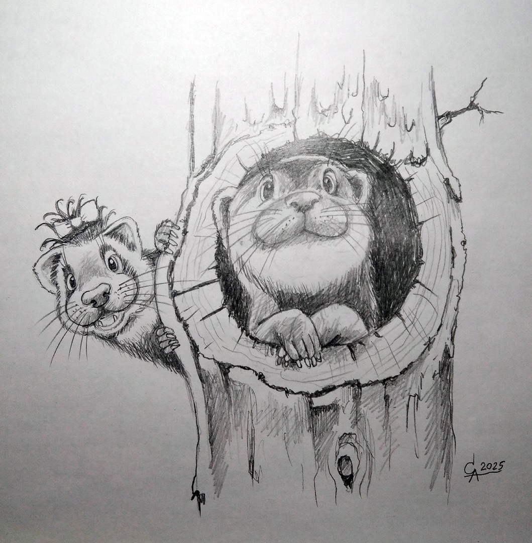 рисунок Александра Северина