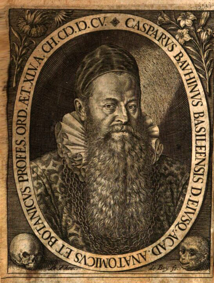 Портрет Каспара Баугина из книги "Caspari Bauhini Basileensis De hermaphroditorum monstrosorumque partuum natura ex theologorum, jureconsultorum, medicorum, philosophorum, ..."