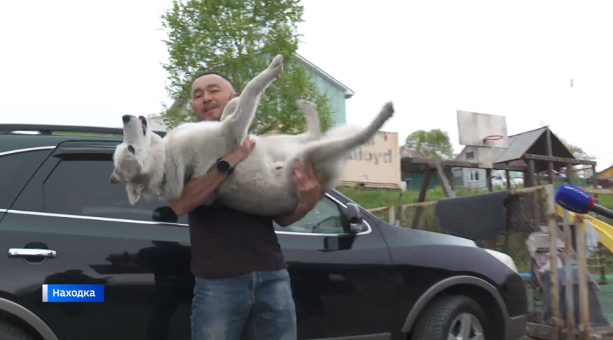 Живого пса выбросили на помойку: чудовищная история получила продолжение в Приморье