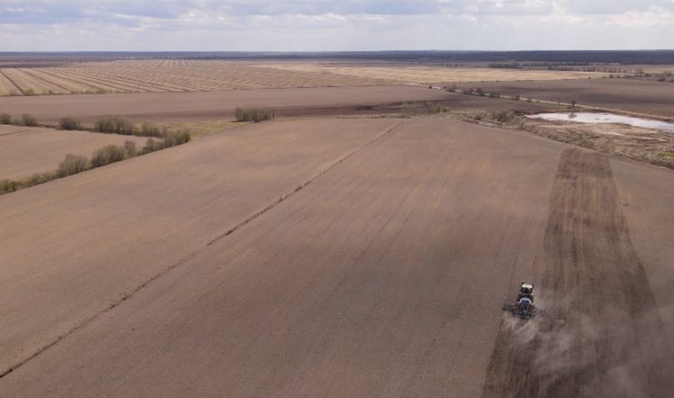    В Карелии в этом году увеличат внесение минудобрений на 15 процентов