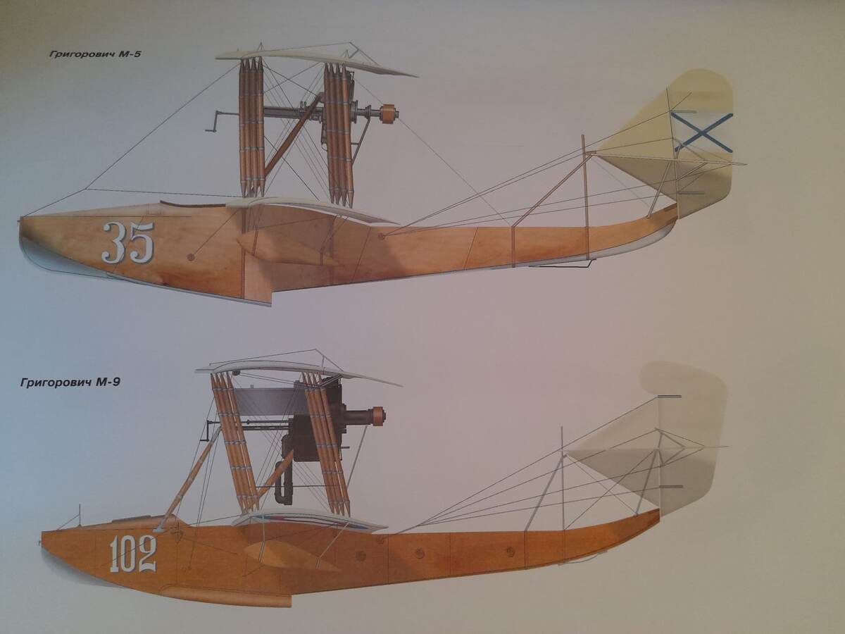 Первые ударные самолеты отечественного ВМФ морского базирования были созданы Григоровичем.