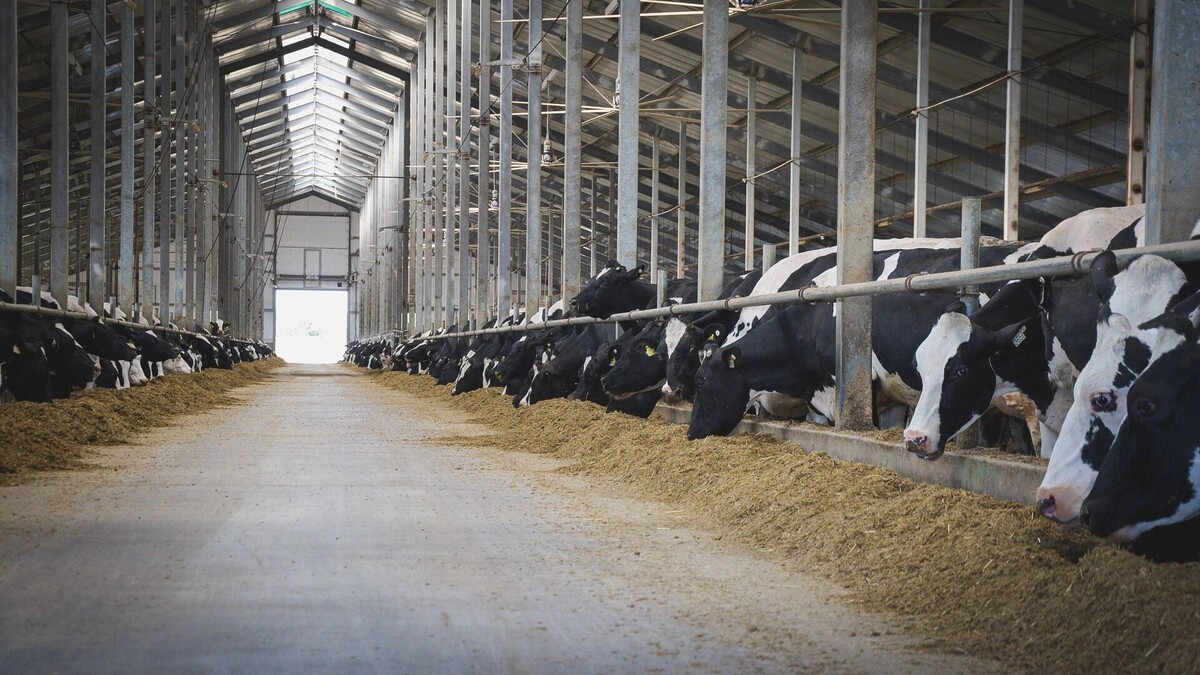     Источник: 1MI