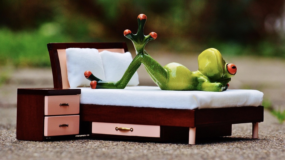 Фото взято с Pixabay