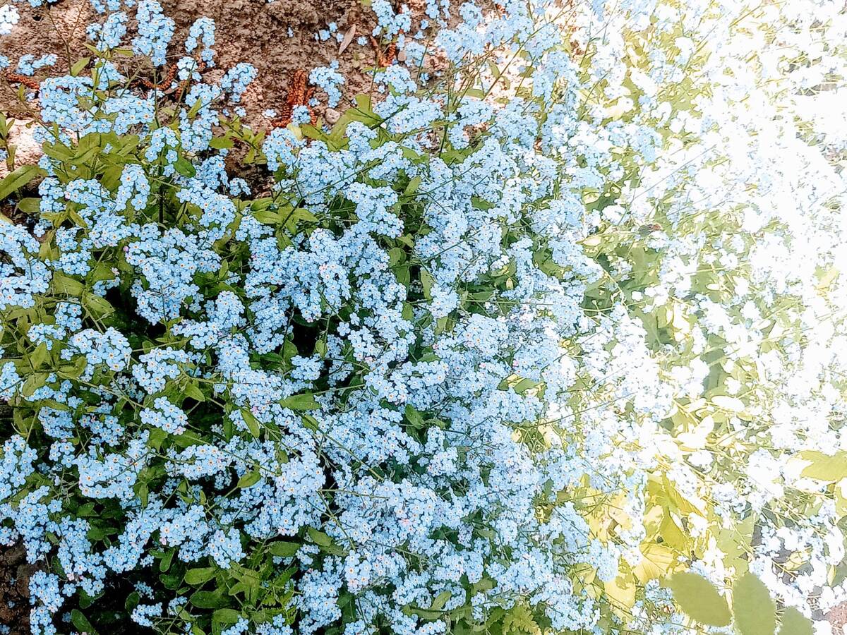 Фотография сделана автором статьи 