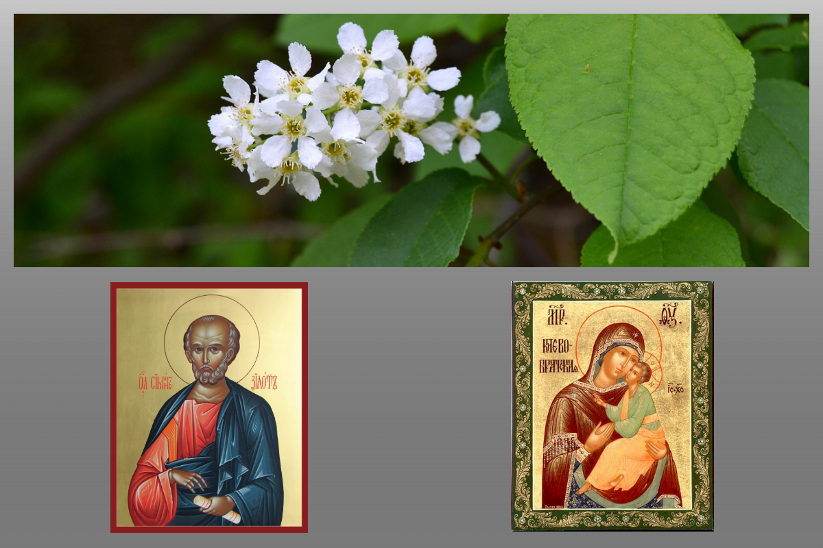 Апостол Симон Зилот, Икона Богородицы Киево-Братская/azbuka.ru, Весна/pixabay.com