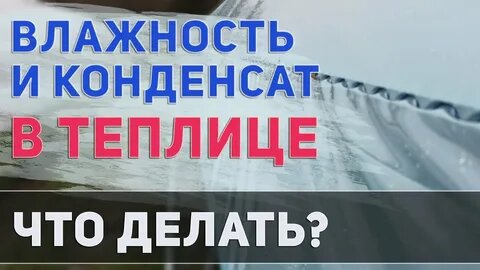 Борьба с конденсатом в теплице