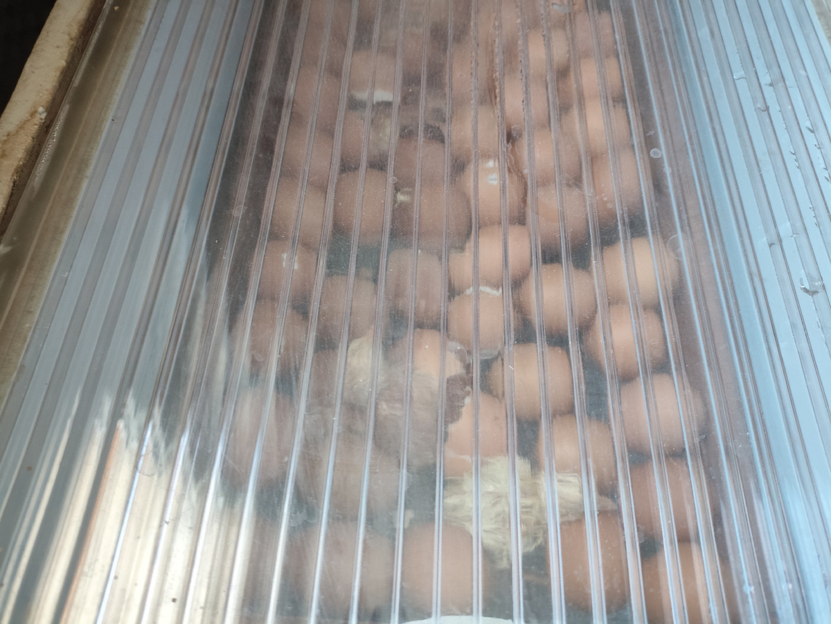 А там жизнь кипит