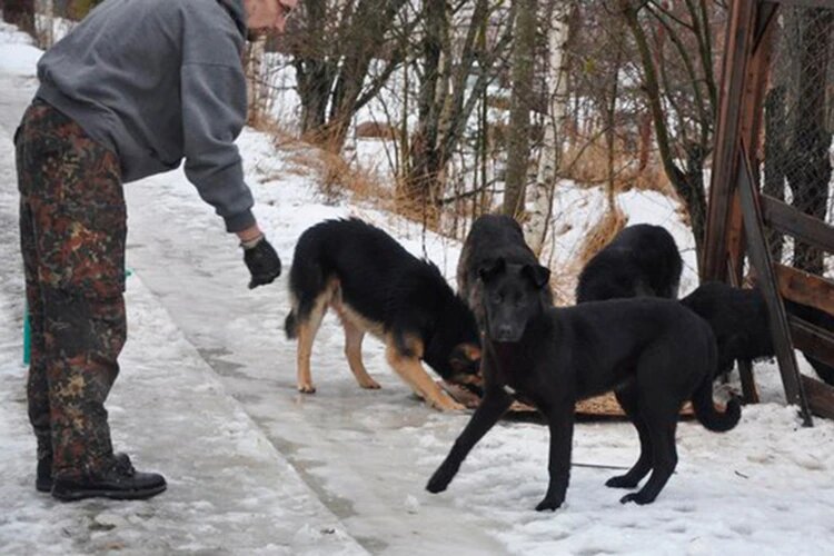 Александр считает, что у каждого животного должен быть свой дом.