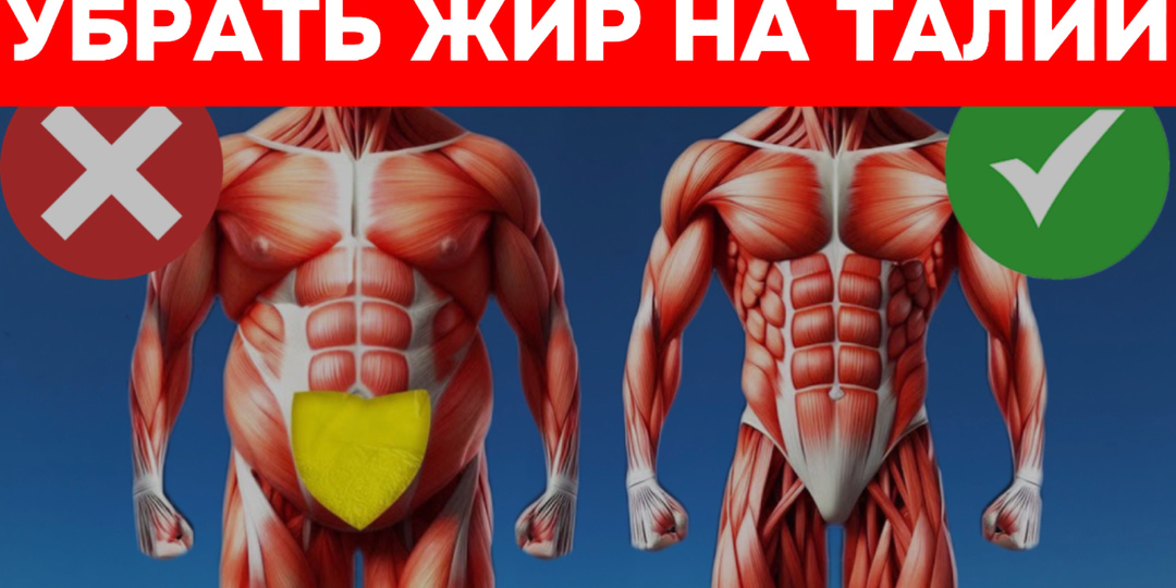 "Не смейтесь над моим методом": убрать жир на талии можно тремя шагами без спорта (секрет от врача с 40-летним стажем)