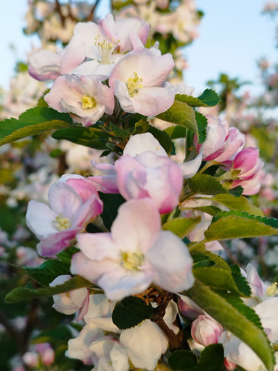 Фото из личного архива автора