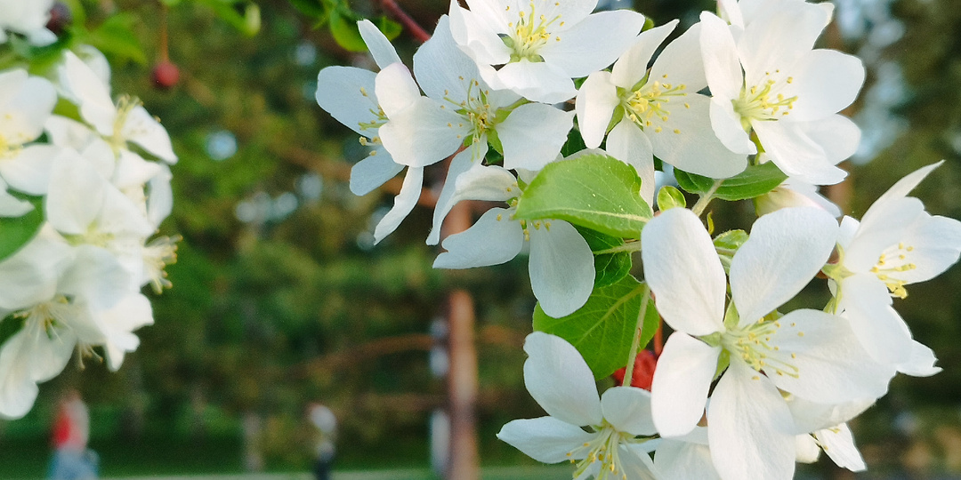 Блиц-опрос перед ЕГЭ по русскому языку