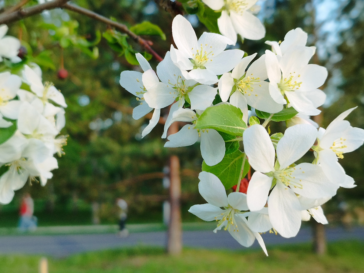 Фото из личного архива автора