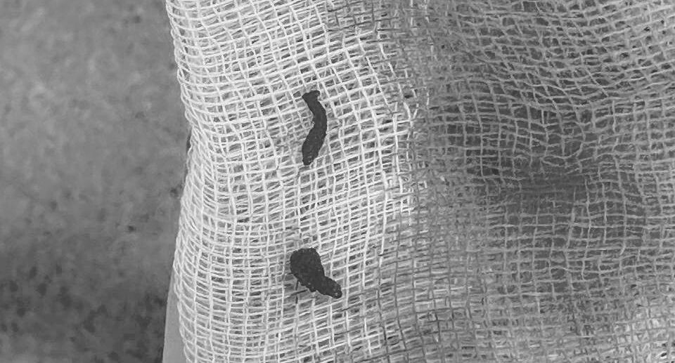    Пресс-служба ступинской больницы