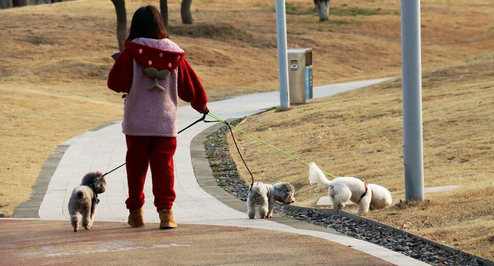    Cfoto / www.globallookpress.com