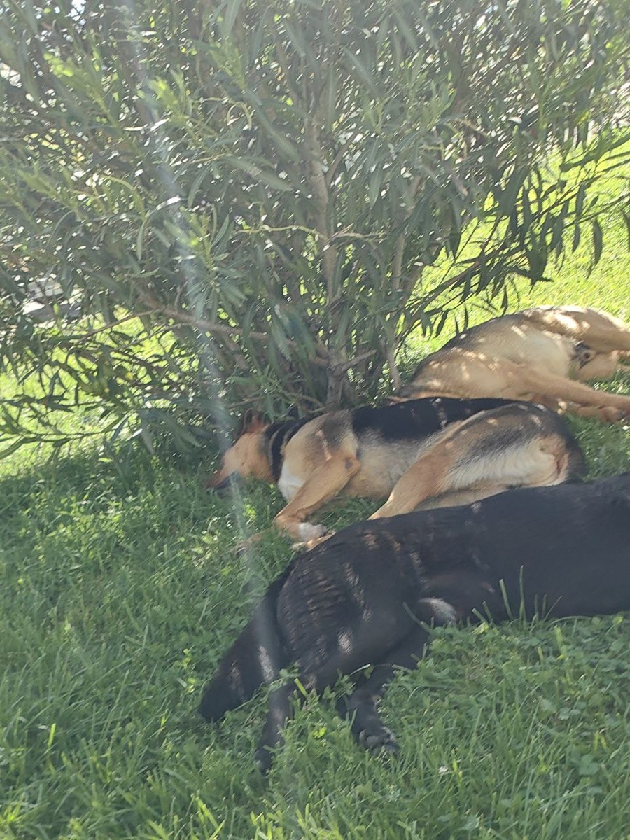 Отдых в компании друзей по интересам