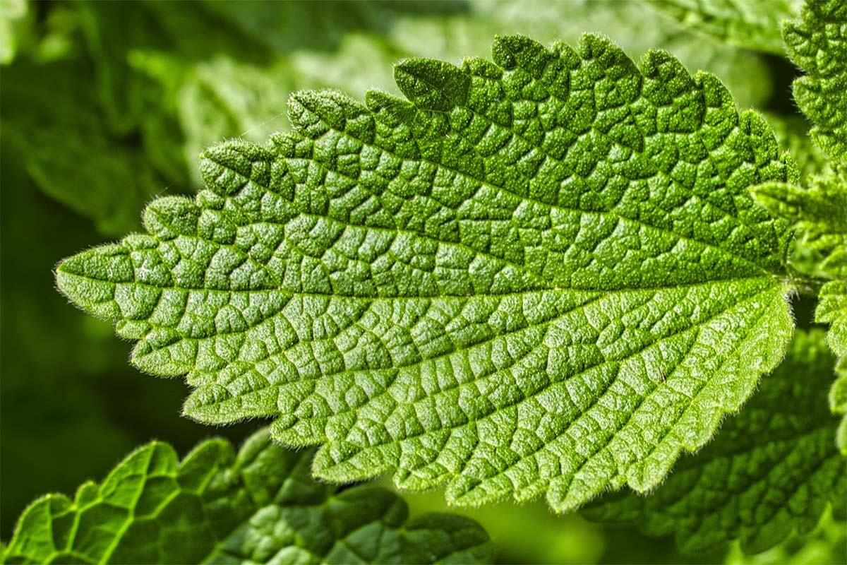 Фото unsplash.com