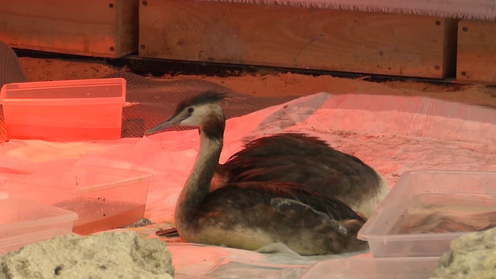 Фото: оперштаб Краснодарского края