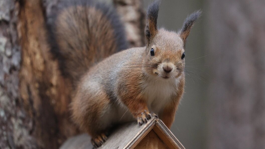    Bulkin Sergey/news.ru/Globallookpress