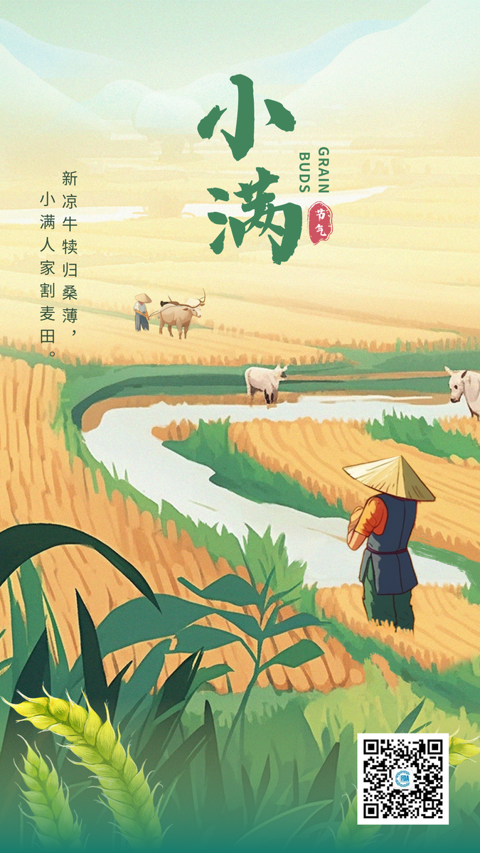  21 мая наступает сезон Сяо Мань (小滿, xiǎo mǎn) – второй сезон Лета по китайскому традиционному календарю.  Источник изображения: baidu.com