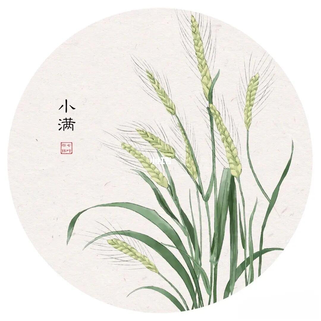 Источник изображения: baidu.com