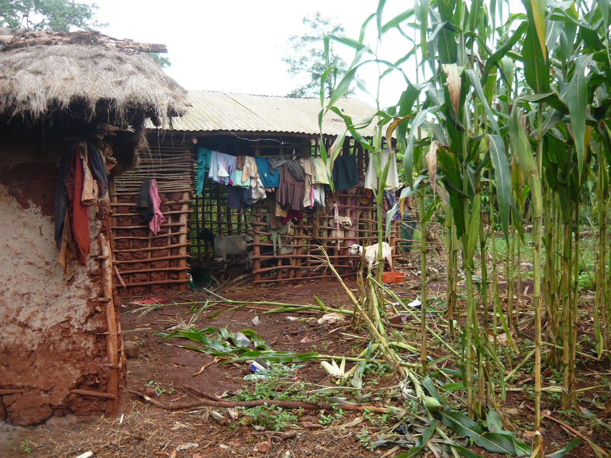 Угандийская деревня