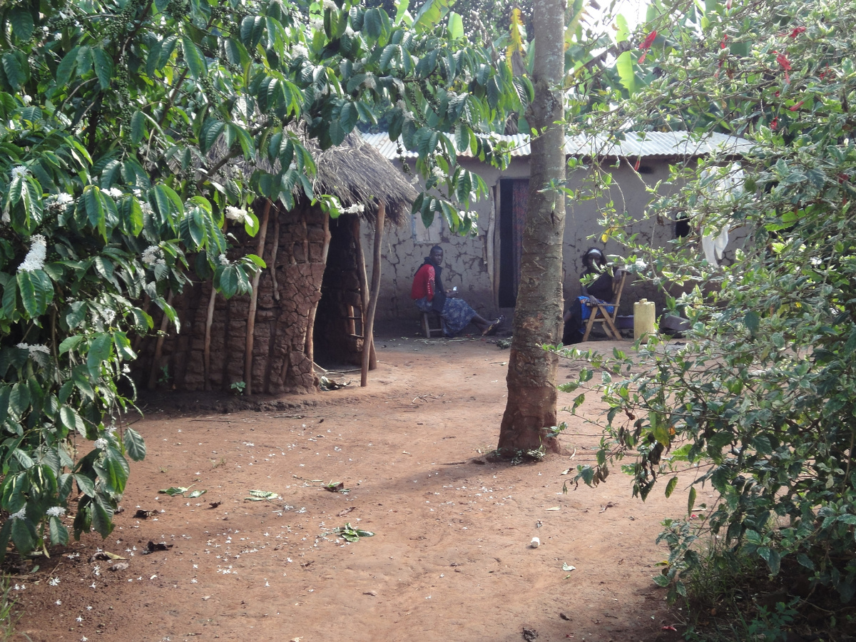 Угандийская деревня