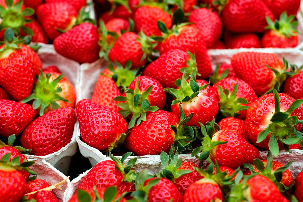    Фото: Couleur / Pixabay.com