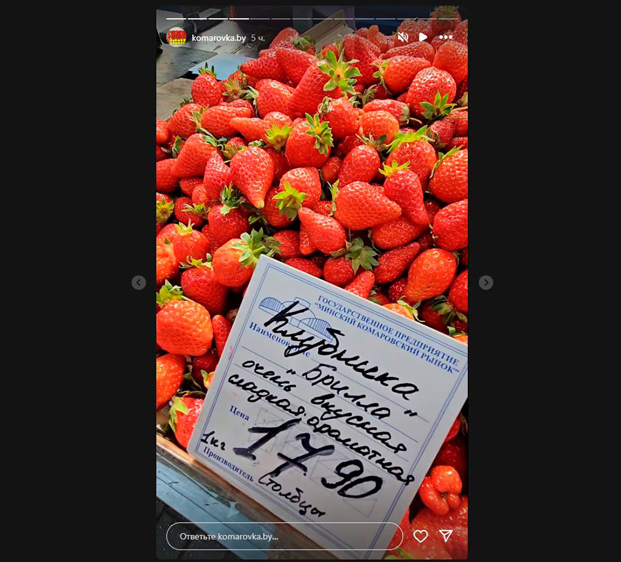    Фото: komarovka.by / Instagram