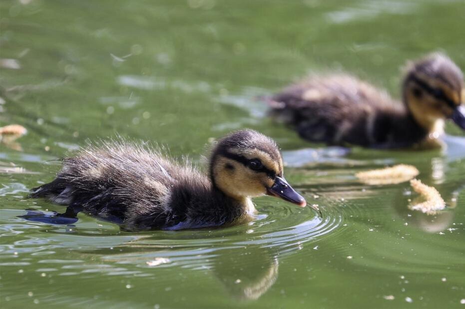    Сергей Булкин/NEWS.ru