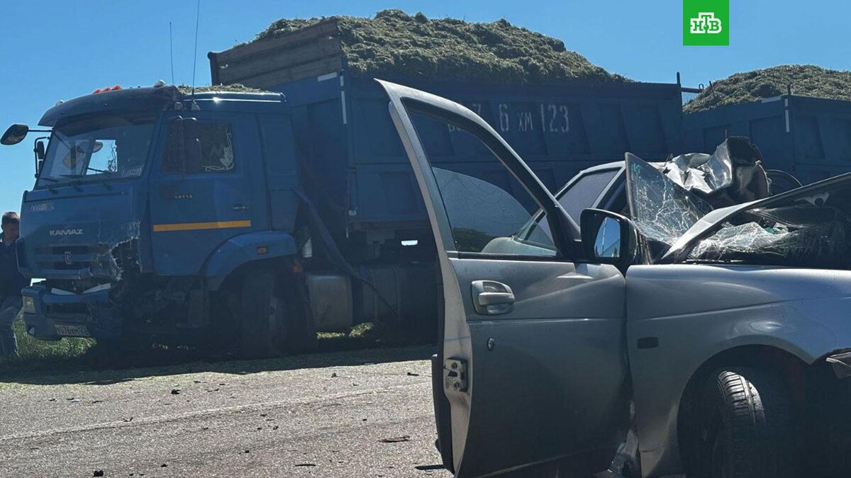    Фото: gibdd123region / t.me