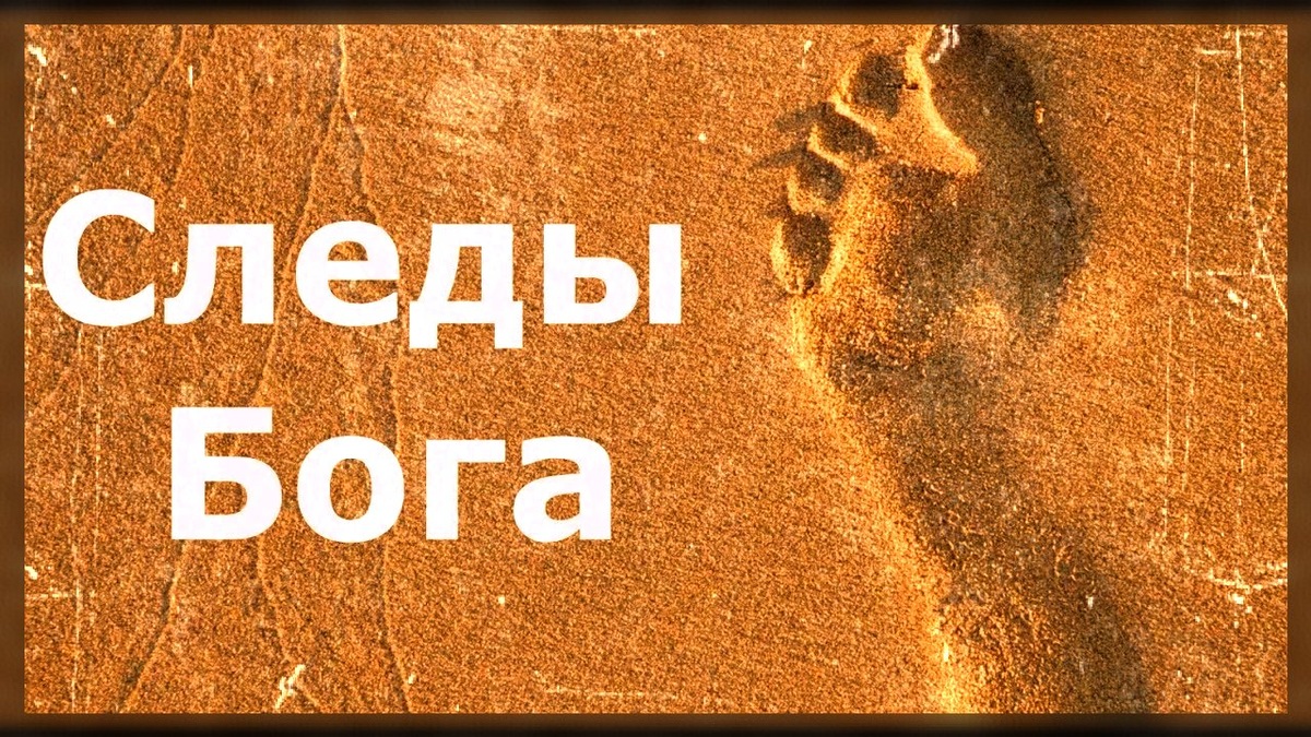 коллаж автора