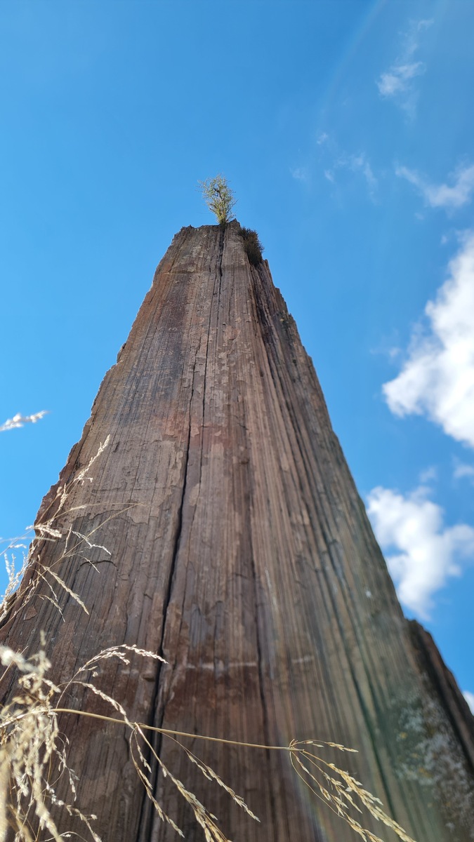 Это мегалит на Салбыкском кургане