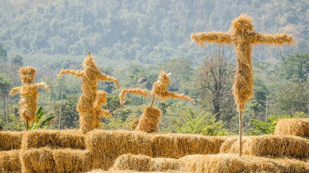    Племена строят соломенные самолёты и ждут богов с небес