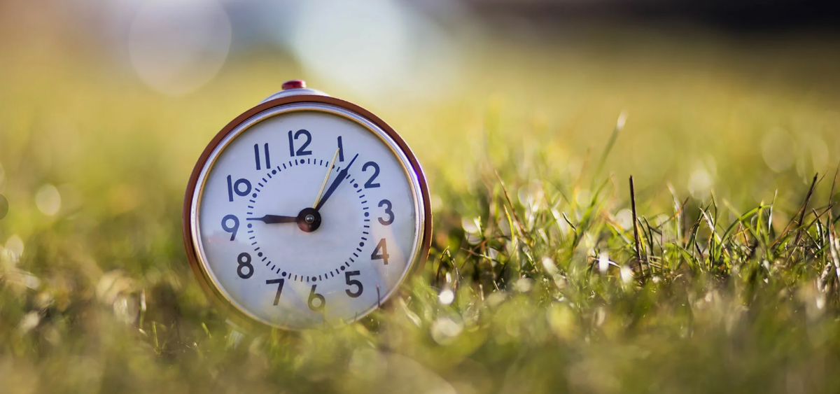 картинки Яндекс