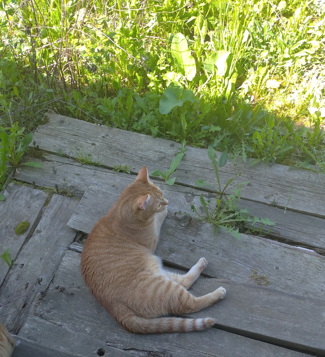 личное фото