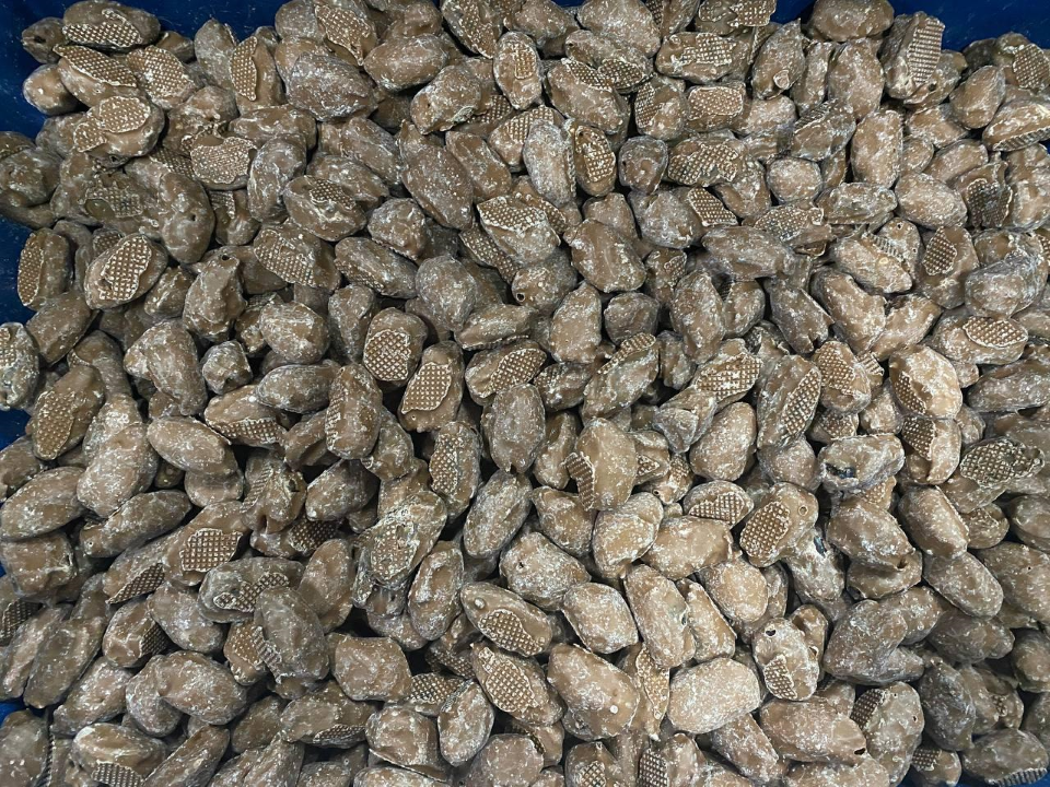     Фото: Дмитрий Алексеенко