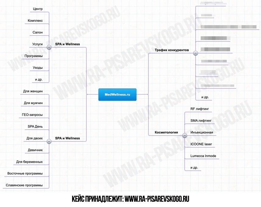 Показываю верхний уровень плана по продвижению СПА центра