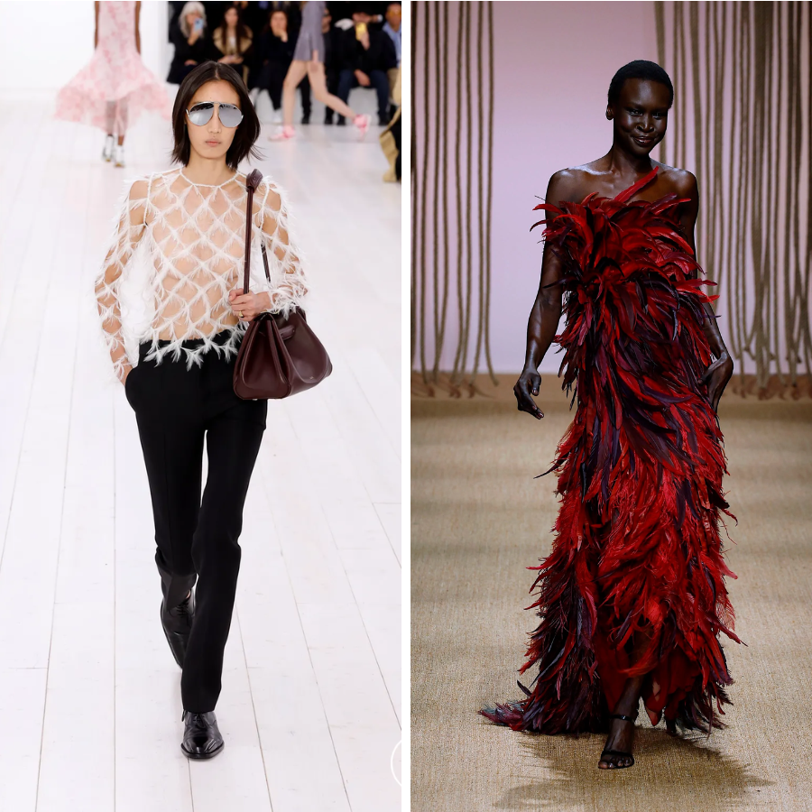 Loewe, Roberto Cavalli