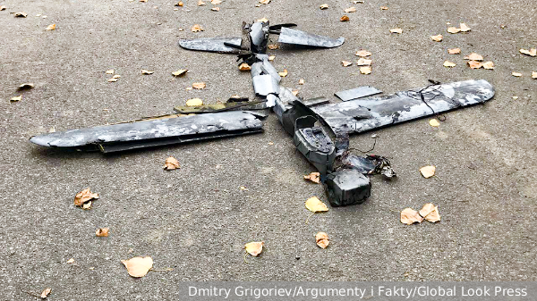     Фото: Dmitry Grigoriev/Argumenty i Fakty/Global Look Press   
 Текст: Алексей Дегтярев