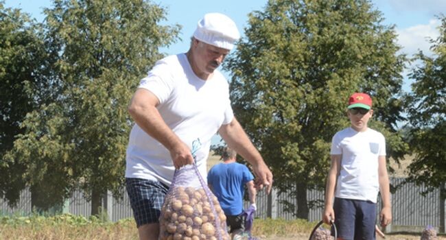    официальный сайт президента Республики Беларусь