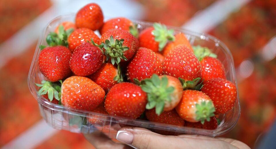    РИА «Новости»