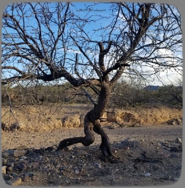 28 ������ ����������, �� ������� ����� ������� �� ���� � �������� �������� 